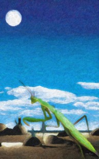 cuadros estilo libre