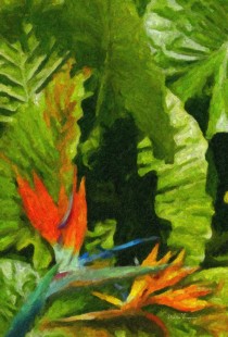 cuadros estilo libre